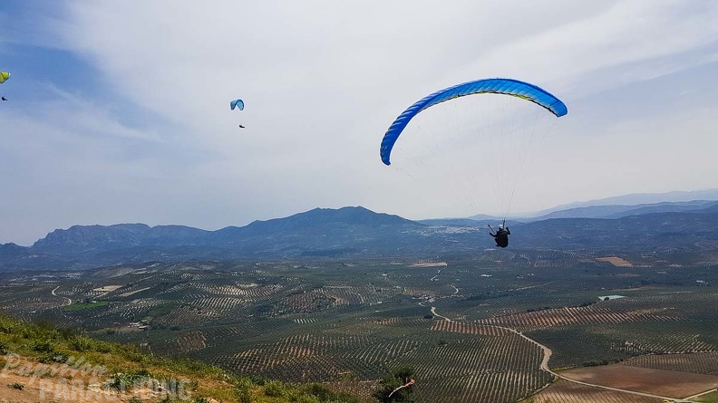 FA13.19 Algodonales-Paragliding-157