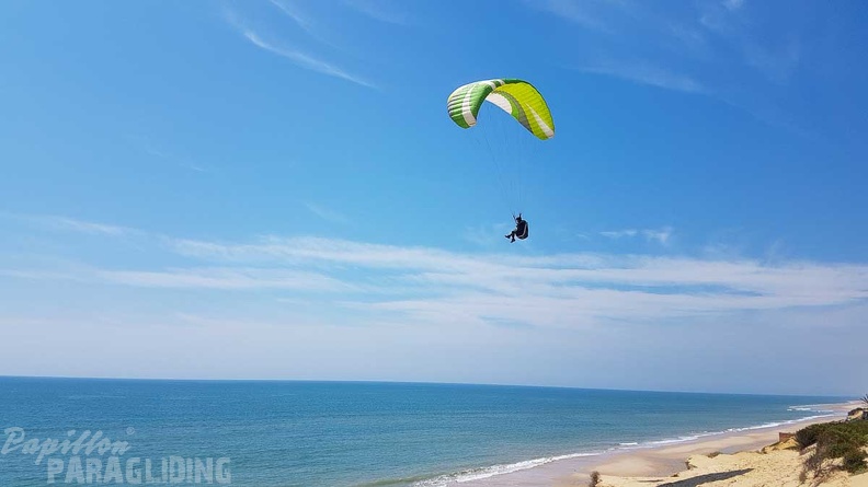 FA17.19 Paragliding-Papillon-Algodonales-150