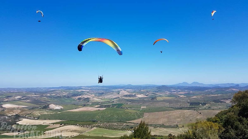 FA17.19 Paragliding-Papillon-Algodonales-211