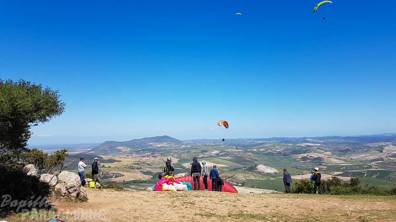 FA17.19 Paragliding-Papillon-Algodonales-222