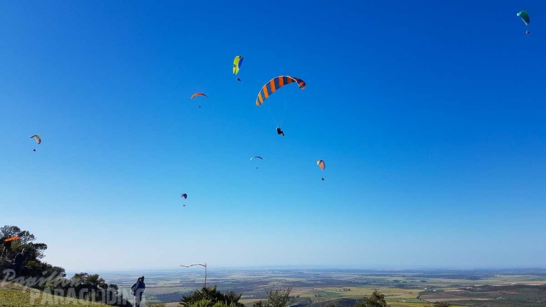 FA17.19 Paragliding-Papillon-Algodonales-239
