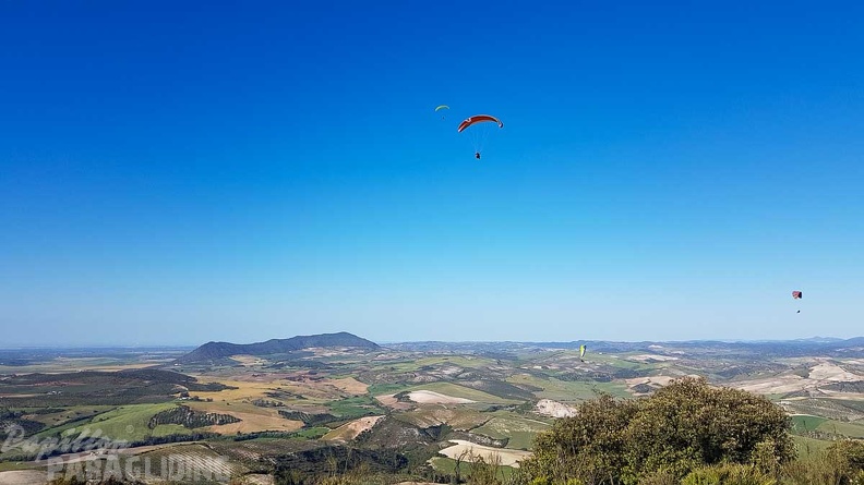 FA17.19 Paragliding-Papillon-Algodonales-244