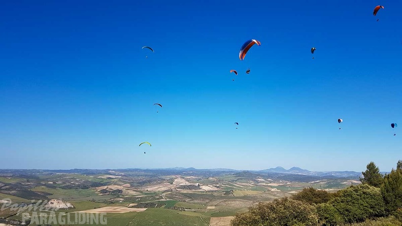 FA17.19 Paragliding-Papillon-Algodonales-253