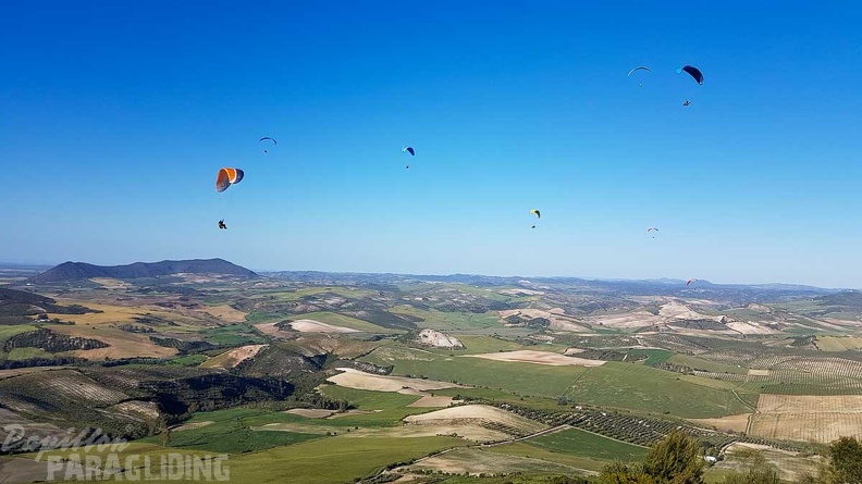 FA17.19 Paragliding-Papillon-Algodonales-256