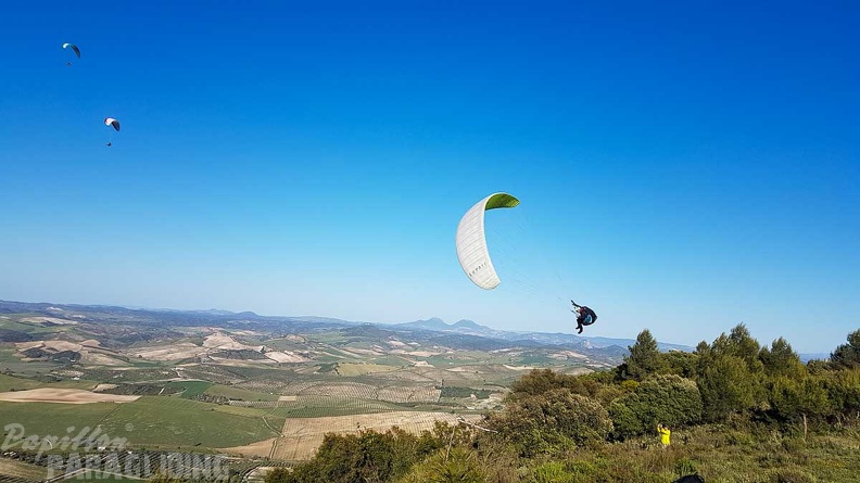 FA17.19 Paragliding-Papillon-Algodonales-260