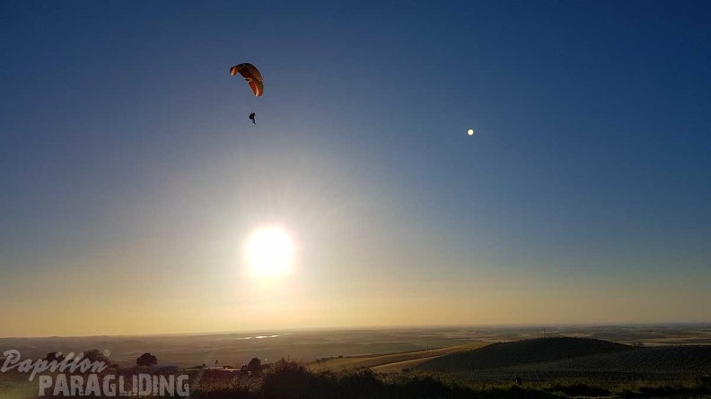 FA17.19 Paragliding-Papillon-Algodonales-262