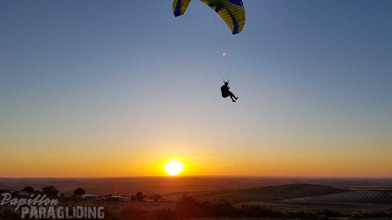 FA17.19 Paragliding-Papillon-Algodonales-269