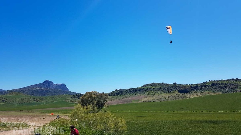 FA17.19 Paragliding-Papillon-Algodonales-286