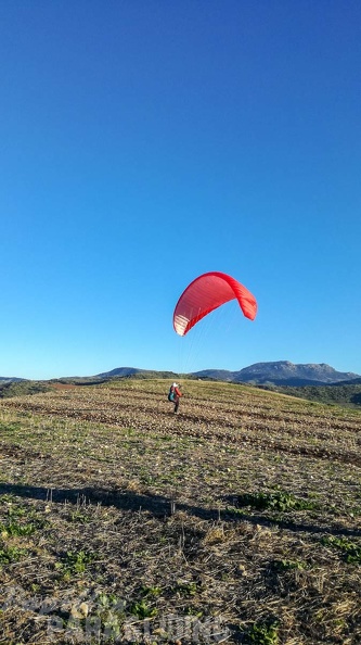 FA2.19 Algodonales-Paragliding-1063