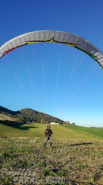 FA2.19_Algodonales-Paragliding-1064.jpg