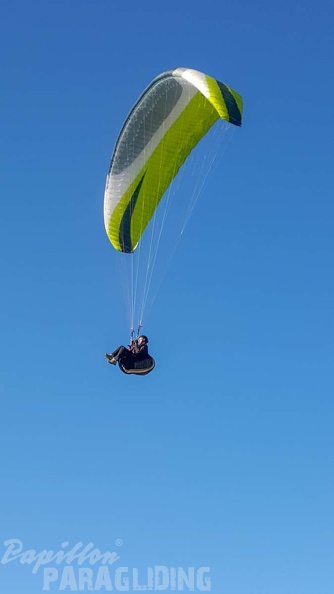 FA2.19_Algodonales-Paragliding-1198.jpg