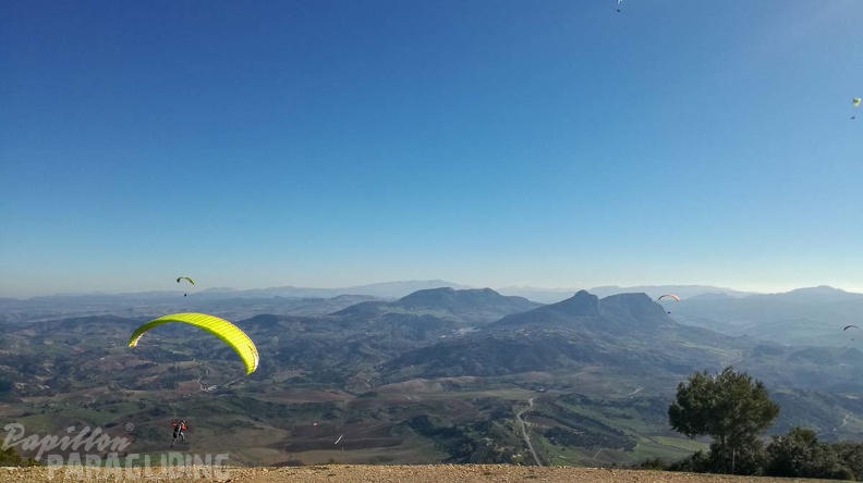 FA2.19 Algodonales-Paragliding-1269