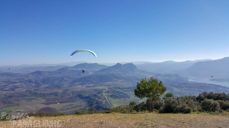 FA2.19_Algodonales-Paragliding-1280.jpg