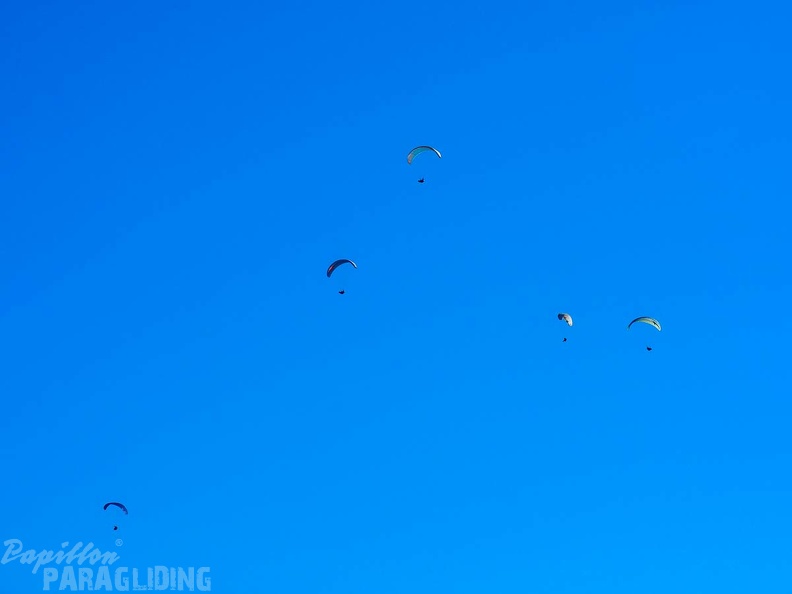 FA2.19 Algodonales-Paragliding-1381