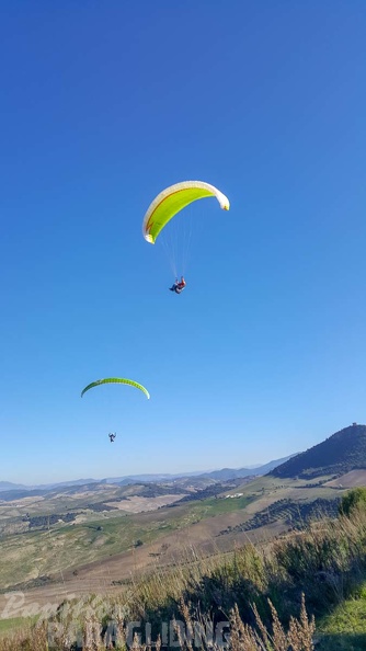 FA2.19_Algodonales-Paragliding-1394.jpg