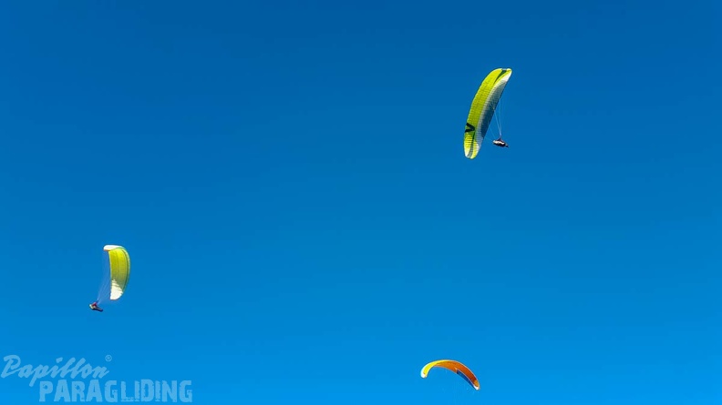 FA2.19_Algodonales-Paragliding-1417.jpg