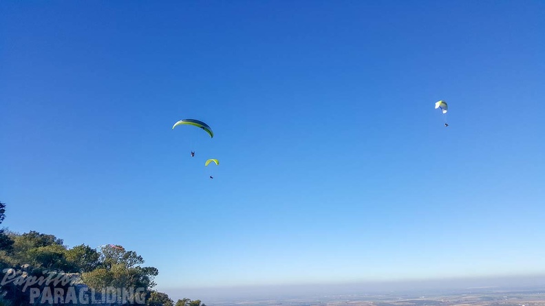 FA2.19 Algodonales-Paragliding-1425