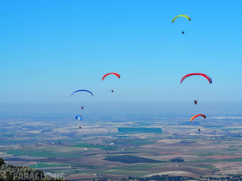 FA2.19_Algodonales-Paragliding-1469.jpg