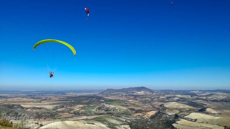 FA2.19_Algodonales-Paragliding-1473.jpg