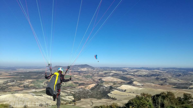 FA2.19 Algodonales-Paragliding-1480