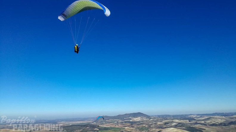 FA2.19_Algodonales-Paragliding-1482.jpg