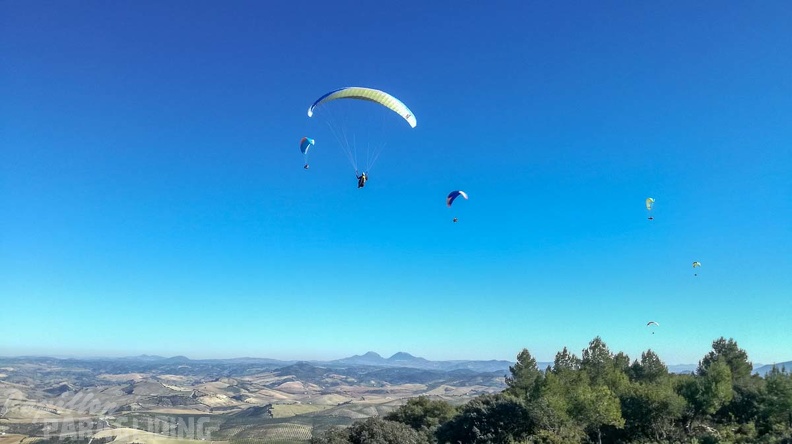 FA2.19 Algodonales-Paragliding-1485