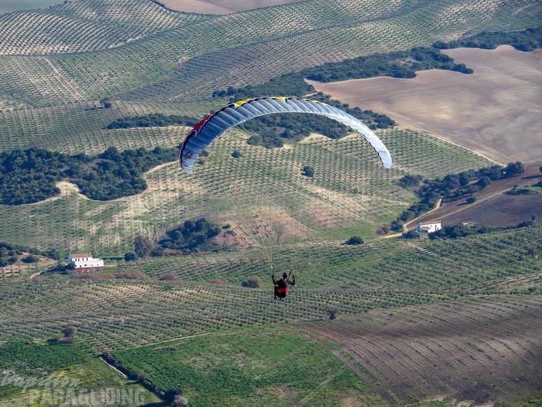 FA2.19_Algodonales-Paragliding-1502.jpg