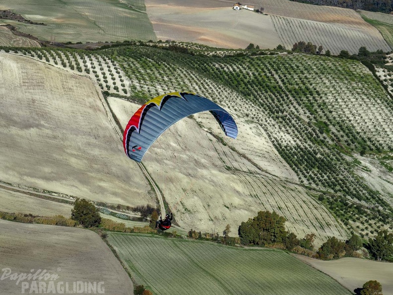FA2.19_Algodonales-Paragliding-1503.jpg