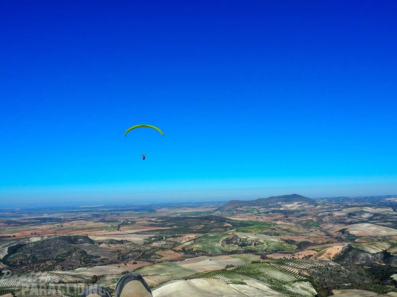 FA2.19_Algodonales-Paragliding-1551.jpg