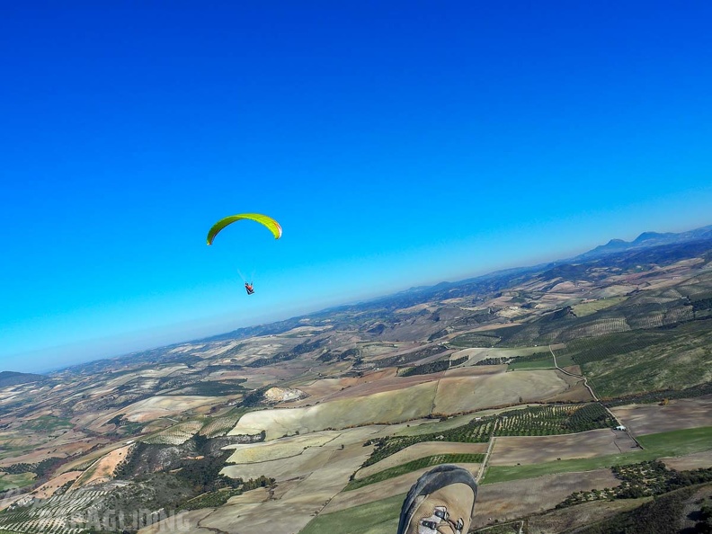 FA2.19_Algodonales-Paragliding-1553.jpg