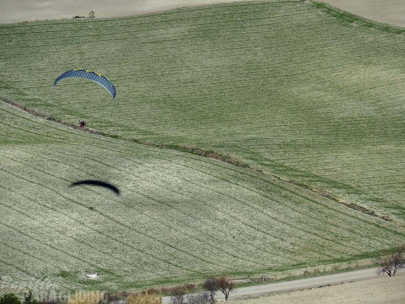 FA2.19_Algodonales-Paragliding-1555.jpg
