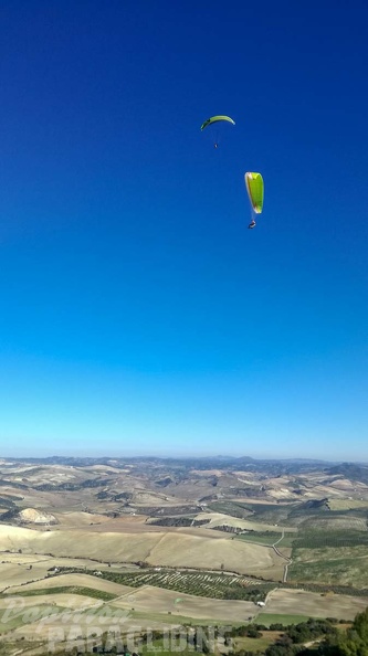 FA2.19_Algodonales-Paragliding-1563.jpg