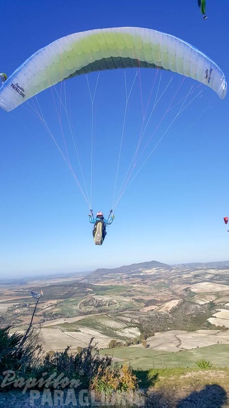 FA2.19_Algodonales-Paragliding-1567.jpg
