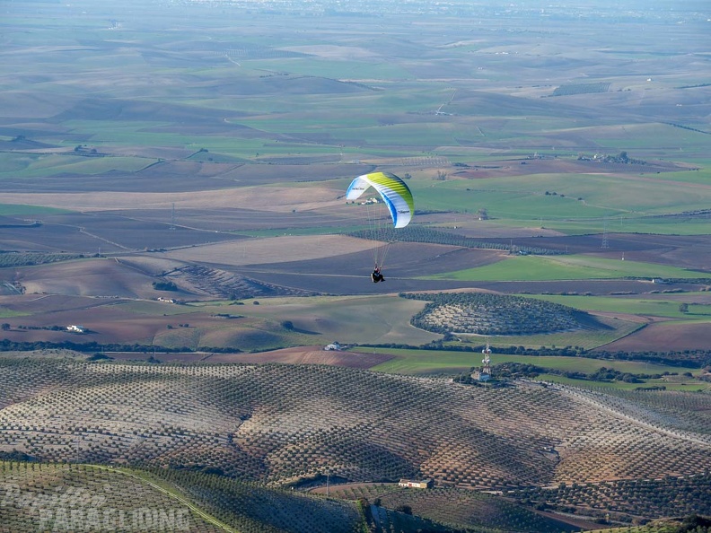 FA2.19_Algodonales-Paragliding-1569.jpg