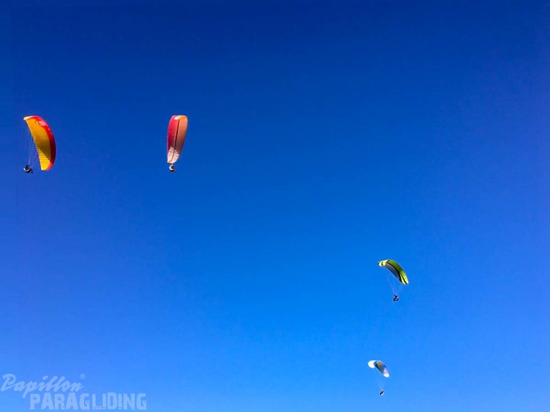 FA2.19 Algodonales-Paragliding-1647