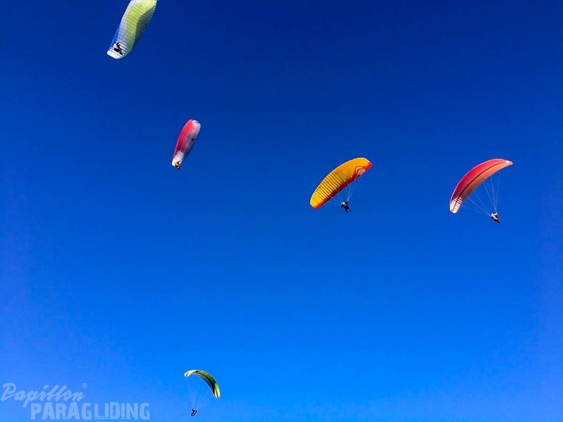 FA2.19_Algodonales-Paragliding-1649.jpg