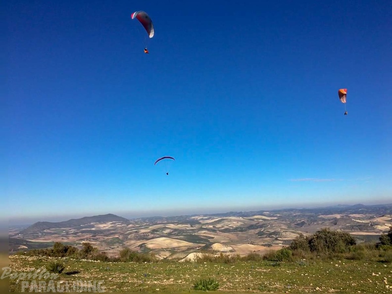 FA2.19 Algodonales-Paragliding-1663