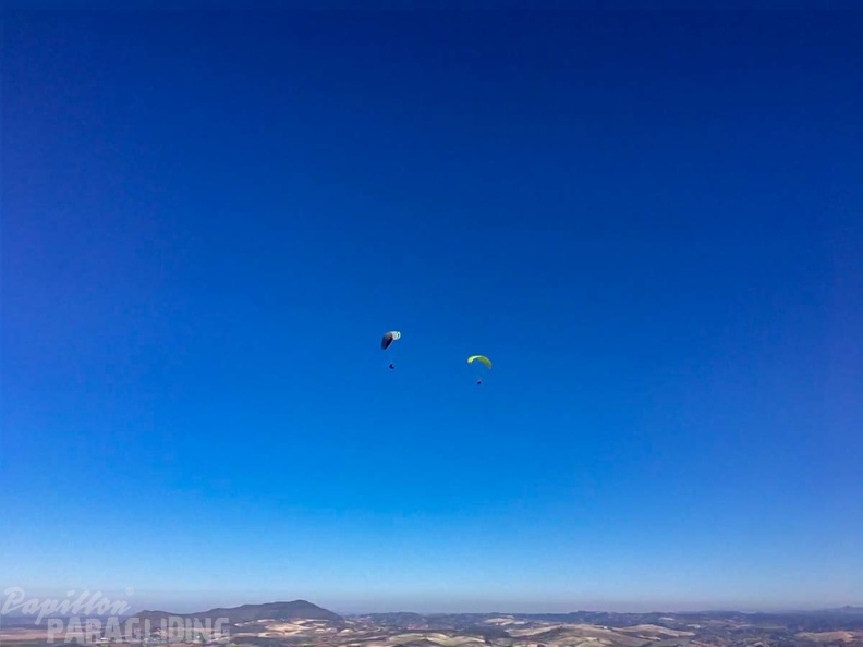 FA2.19_Algodonales-Paragliding-1673.jpg