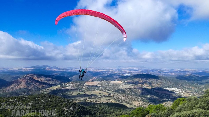 FA46.19 Algodonales-Paragliding-115