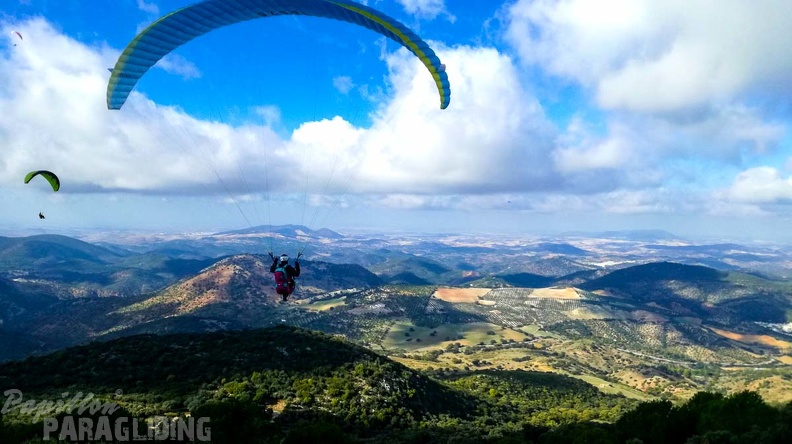 FA46.19 Algodonales-Paragliding-119