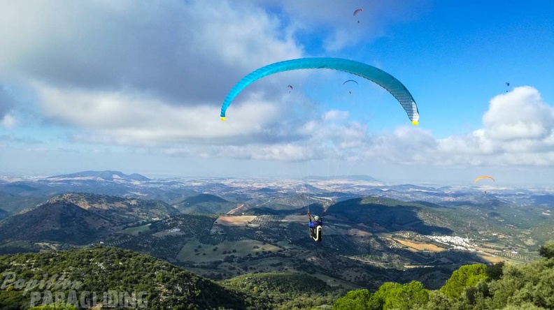 FA46.19 Algodonales-Paragliding-120