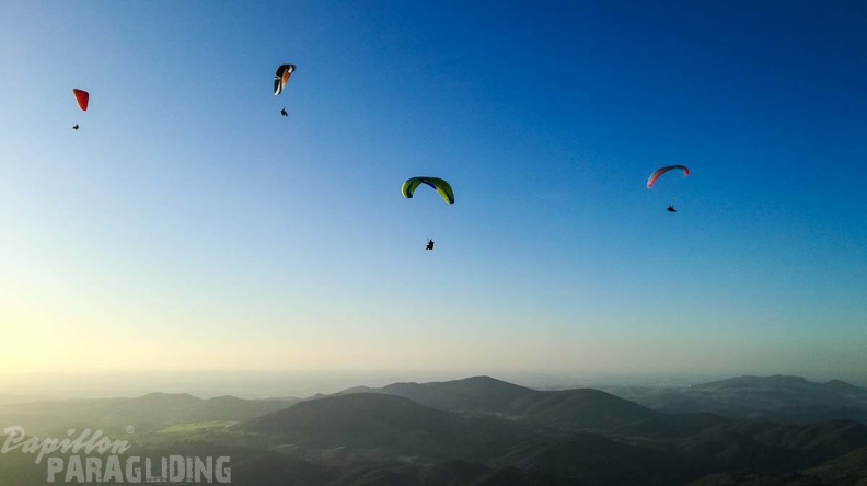 FA46.19 Algodonales-Paragliding-174
