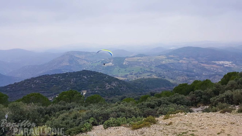 FA1.20 Algodonales-Paragliding-535