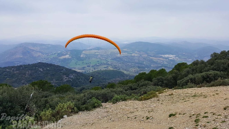 FA1.20 Algodonales-Paragliding-536