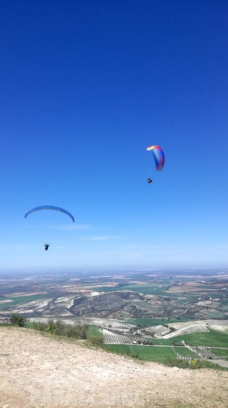 FA11.20_Algodonales-Paragliding-237.jpg