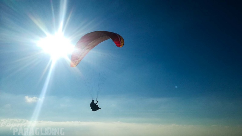 FA2.20 Algodonales-Paragliding-241