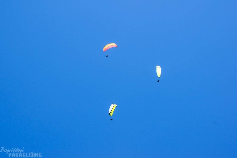 Annecy Papillon-Paragliding-155