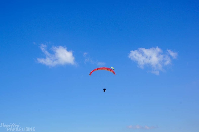 Annecy Papillon-Paragliding-226