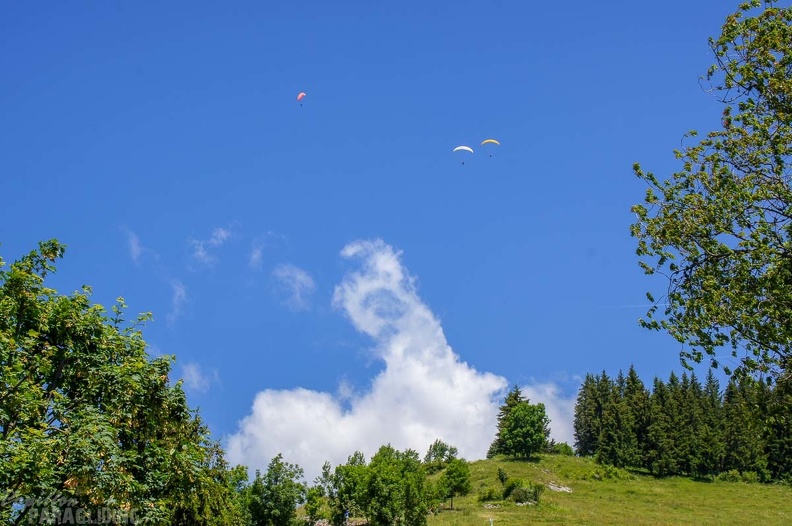 Annecy Papillon-Paragliding-322