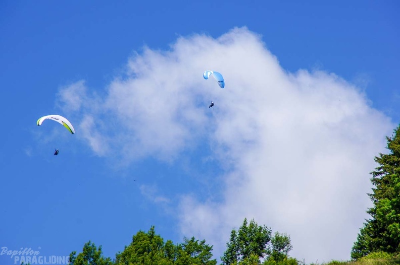 Annecy Papillon-Paragliding-327